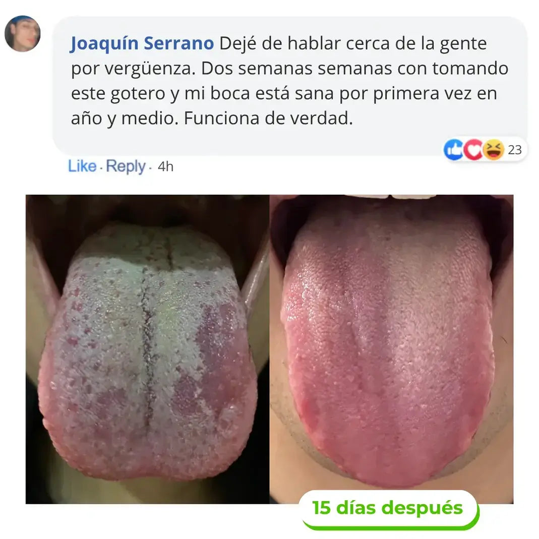 Review by JOAQUÍN SERRANO