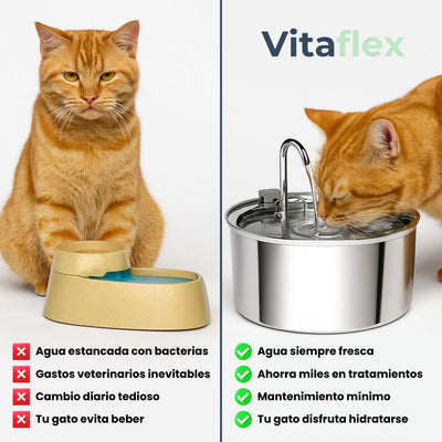 Fuente de Acero Inoxidable con Triple-Filtración para Agua Siempre Fresca